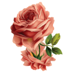 Переводная татуировка "Розовая роза"