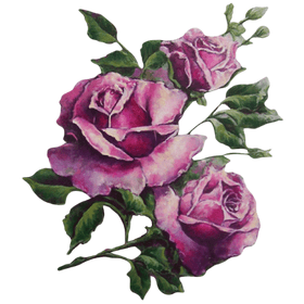 Переводная татуировка "Фиолетовые розы"