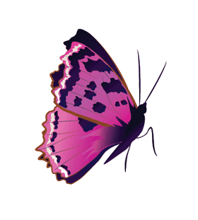 Тату наклейка «Розовая бабочка»