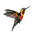 Переводная колибри